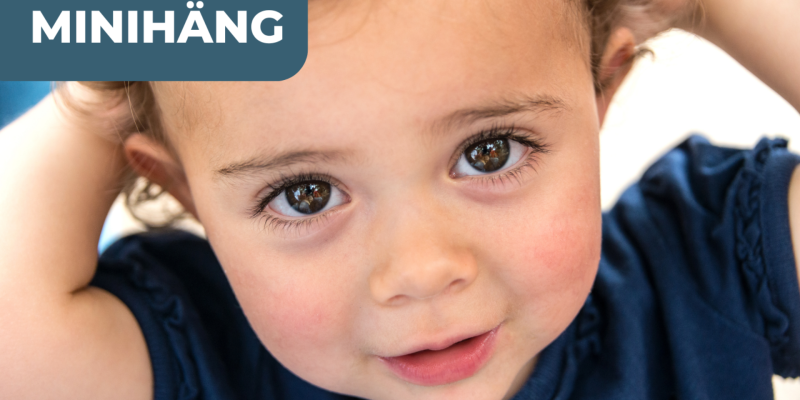 Minihäng